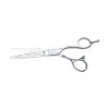 #CA-CO2 OLIVIA GARDEN CARA VG-10 SHEAR 6"