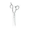 #CA-CO2 OLIVIA GARDEN CARA VG-10 SHEAR 6"