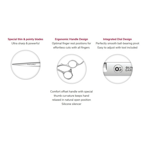 OLIVIA GARDEN FINE CUT PRO SHEAR INTRO CASE