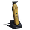 PANASONIC BARIKAN TRIMMER - GOLD